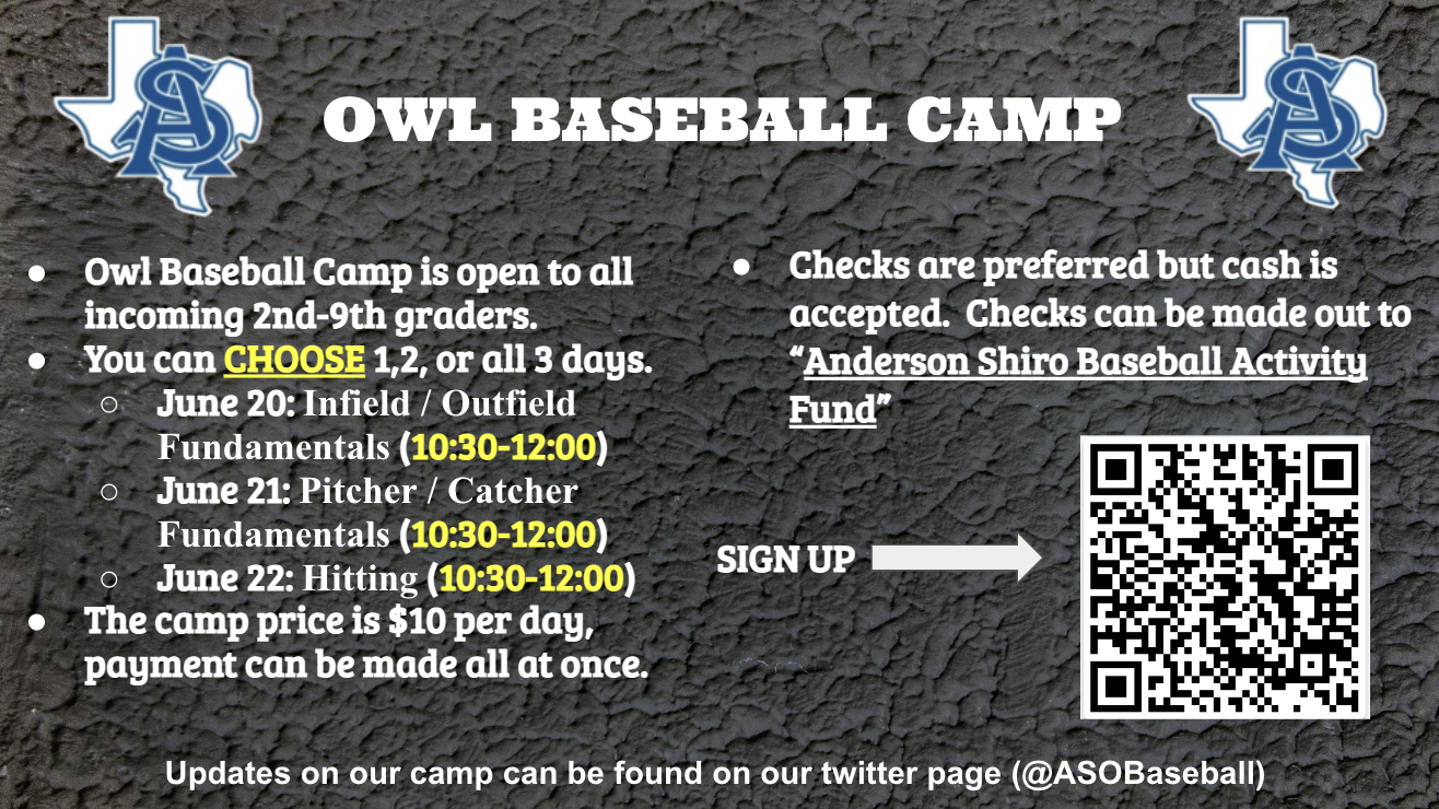 Summer Owl Baseball Camp